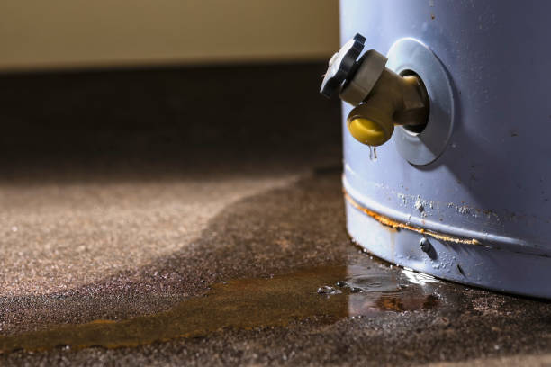 Local water damage restoration in TN