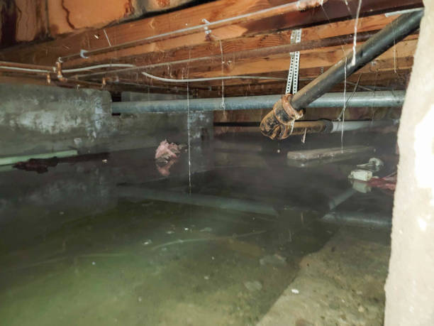 Best Commercial water damage restoration  in Huntingdon, TN
