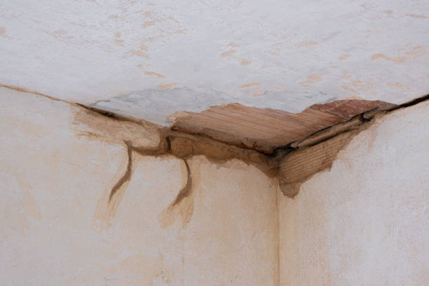 Best Commercial water damage restoration  in Huntingdon, TN