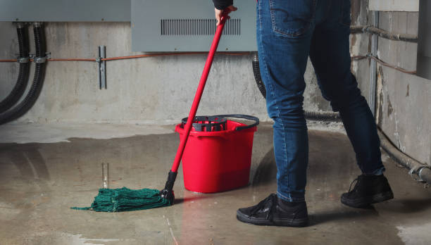 Best Mold removal after water damage  in Huntingdon, TN