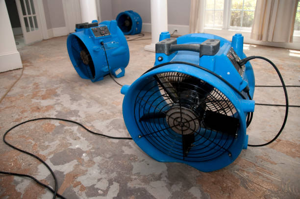 Best Water damage restoration specialists  in Huntingdon, TN