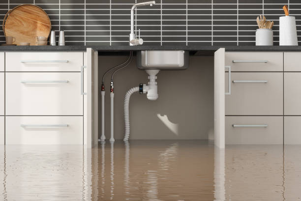  Huntingdon, TN Water damage restoration Pros