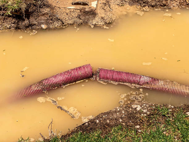 Best Carpet water damage restoration  in Huntingdon, TN