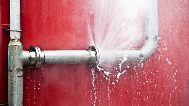Best 24/7 water damage repair  in Huntingdon, TN